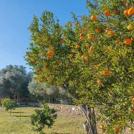 Son Brun Villa Manacor (Mallorca)
